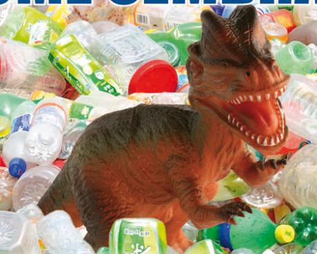 Bassanonet.it Quando la plastica non è...plastica