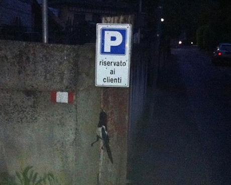 Bassanonet.it Povera gazza