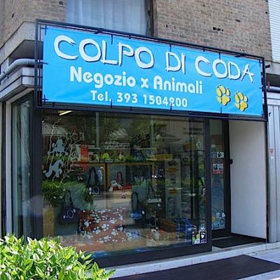 Bassanonet.it Colpo di ladri