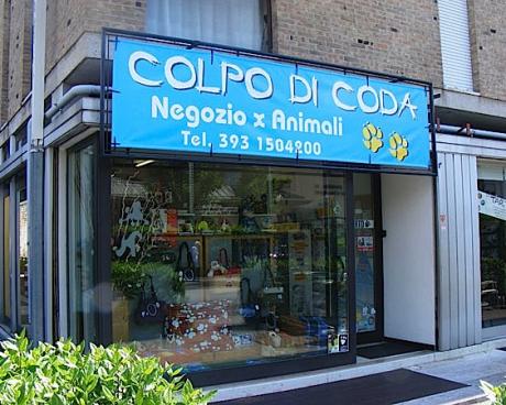 Bassanonet.it Colpo di ladri