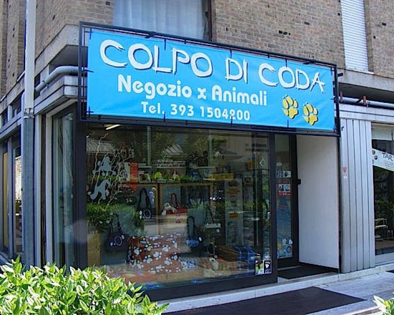 Bassanonet.it Colpo di ladri