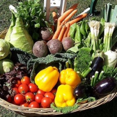 Bassanonet.it Oggi cucino al naturale!