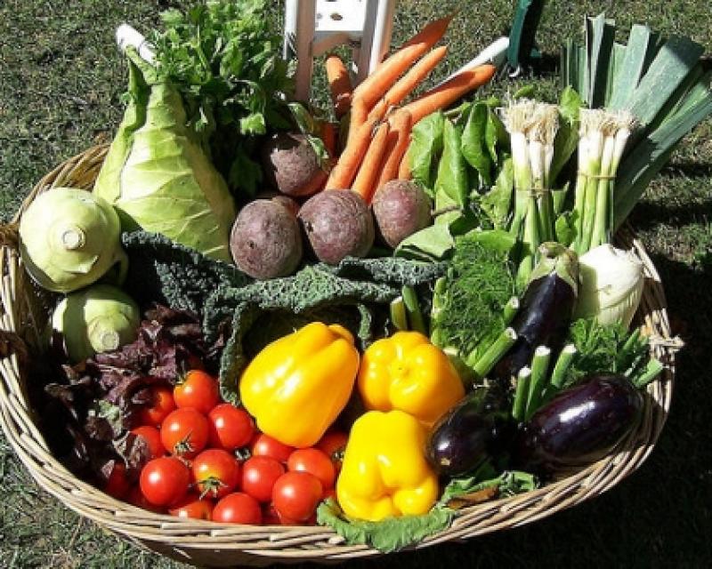 Bassanonet.it Oggi cucino al naturale!