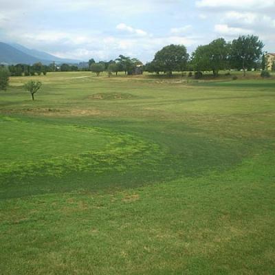 Bassanonet.it Mai dire Golf