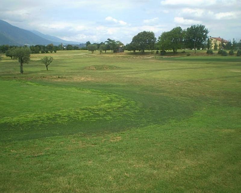 Bassanonet.it Mai dire Golf