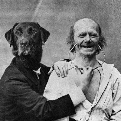 Bassanonet.it Good Vibrations, prova aperta al pubblico del gruppo CANI