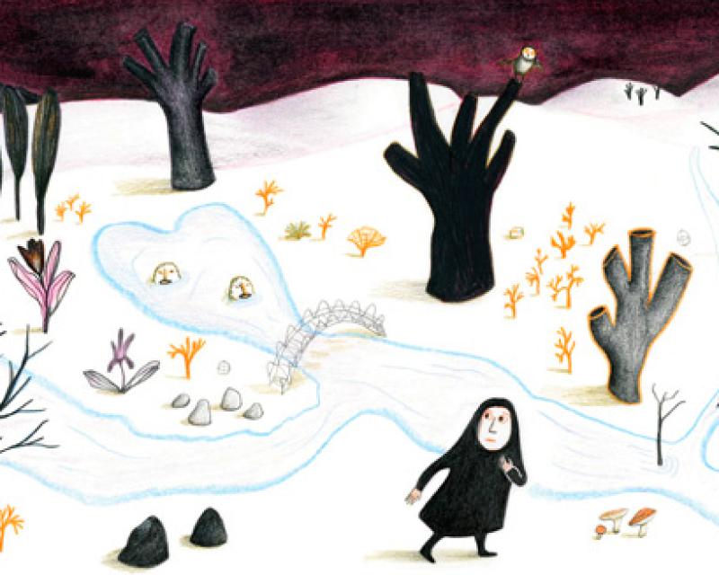 Bassanonet.it Il mondo delle meraviglie degli albi illustrati