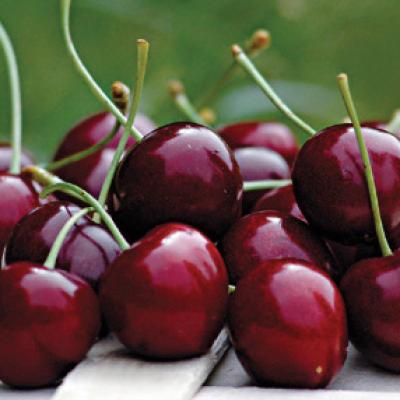 Bassanonet.it Rossa di sera...