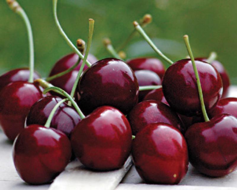 Bassanonet.it Rossa di sera...