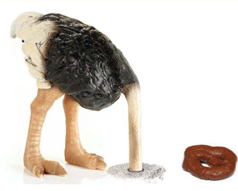 Bassanonet.it Non fare lo STR...uzzo