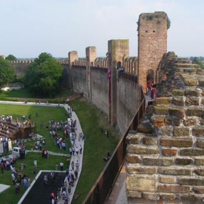 Bassanonet.it Cittadella, Operazione Russia