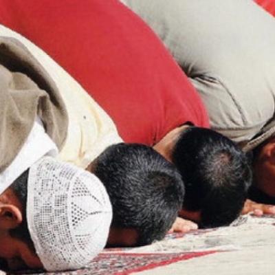 Bassanonet.it La scritta islamofoba e il gatto crocifisso