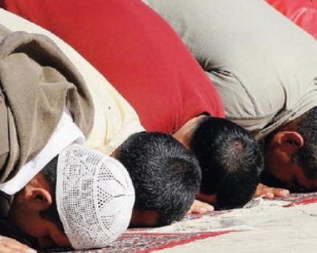 Bassanonet.it La scritta islamofoba e il gatto crocifisso