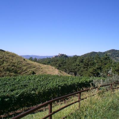 Bassanonet.it Agro Rebel