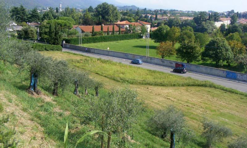 Bassanonet.it - Area del futuro parcheggio e riva con gli ulivi