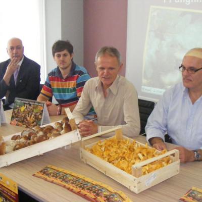 Bassanonet.it TuttiFunghi