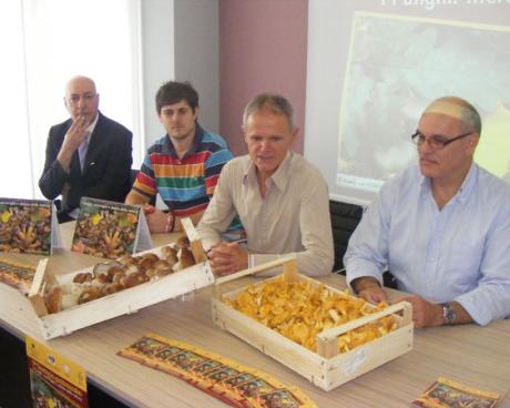 Bassanonet.it TuttiFunghi