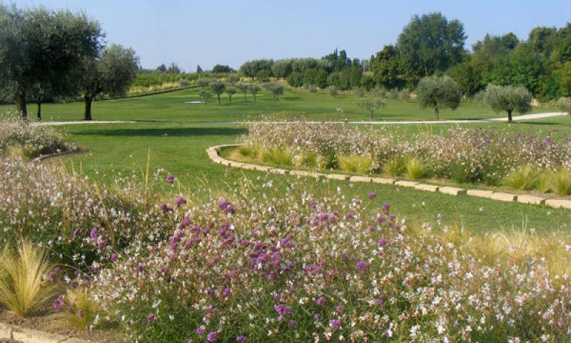 Bassanonet.it - Aiuole tra campo pratica e percorso buche