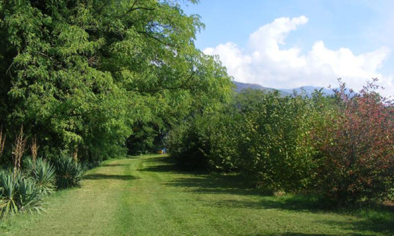 Bassanonet.it - Percorso alberato