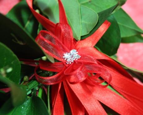 Bassanonet.it Premi di laurea