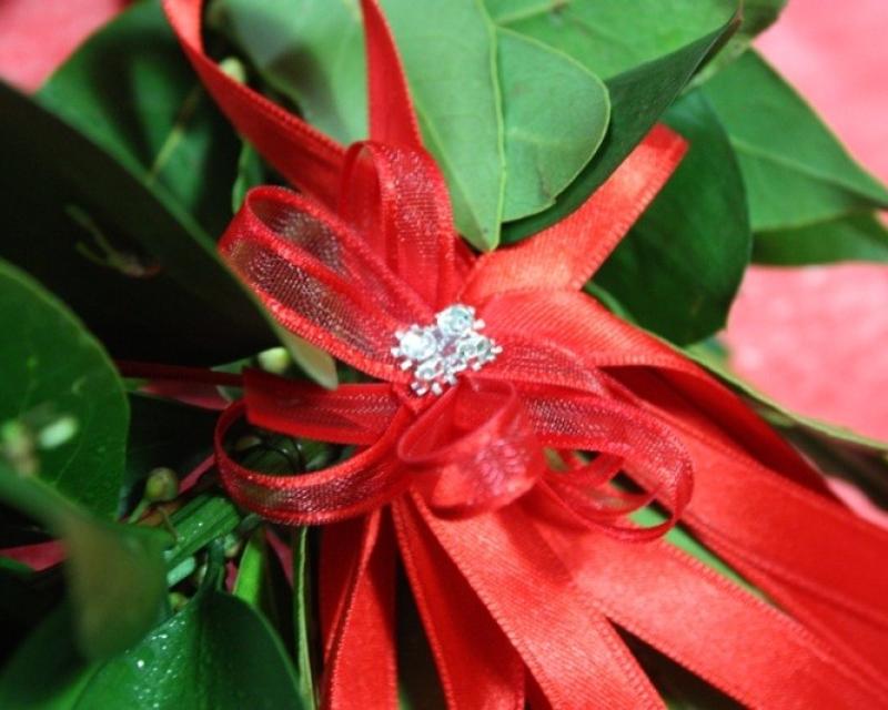 Bassanonet.it Premi di laurea