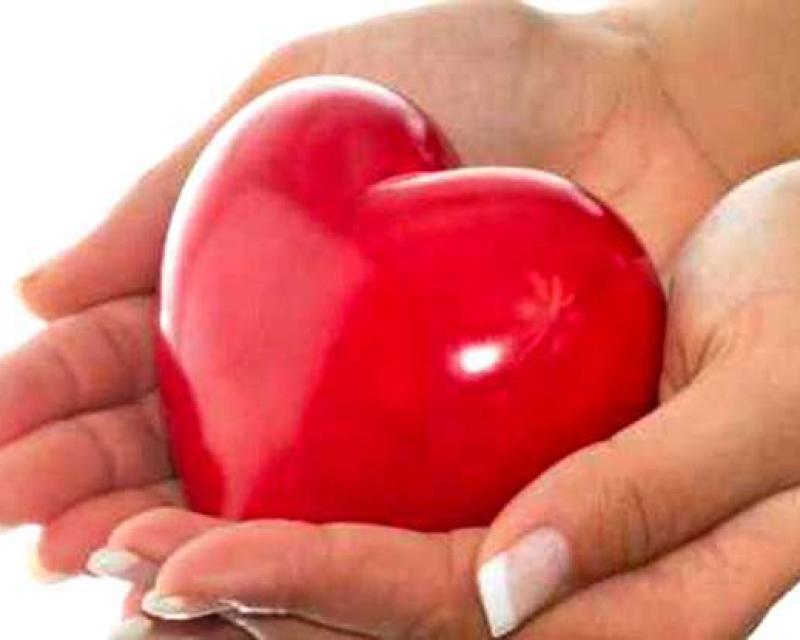 Bassanonet.it Tracce 2013