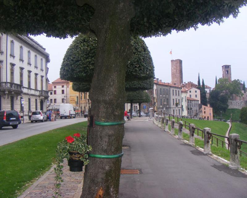 Bassanonet.it Cittadinanza onoraria ai Martiri del Grappa: “sì” unanime