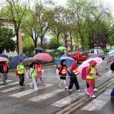 Bassanonet.it Il Piedibus in festa a Santa Croce