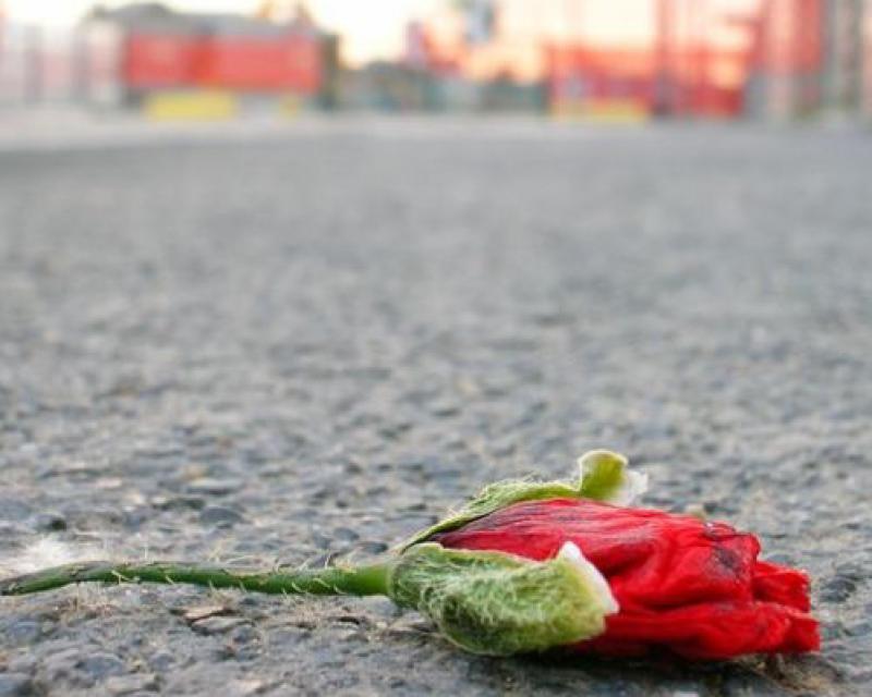 Bassanonet.it Emergenza donna