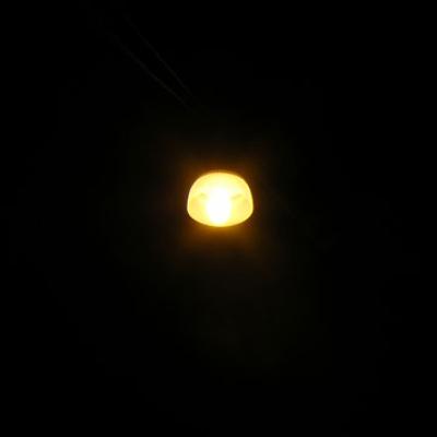 Bassanonet.it Lasciati all'oscuro