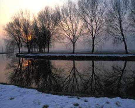 Bassanonet.it Là dove muore il fiume