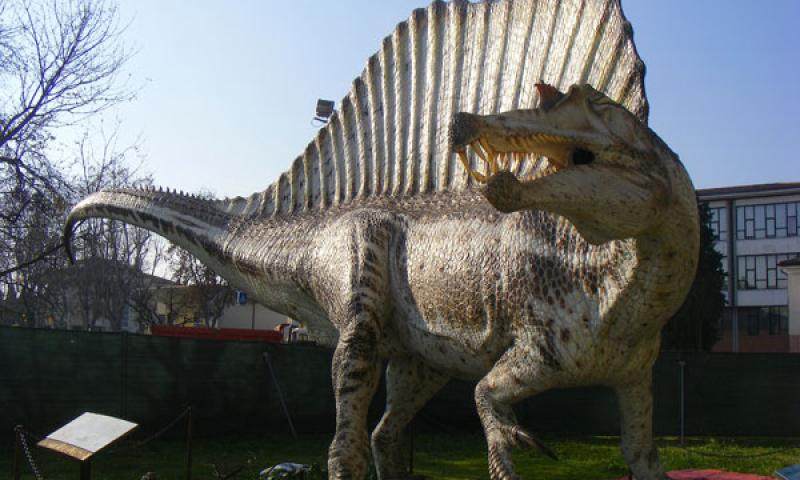 Bassanonet.it - Spinosaurus Aegyptiacus