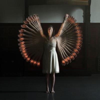 Bassanonet.it Videodance 2013