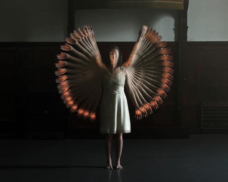 Bassanonet.it Videodance 2013