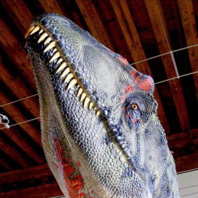 Bassanonet.it Dino e i suoi fratelli