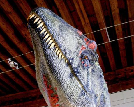 Bassanonet.it Dino e i suoi fratelli