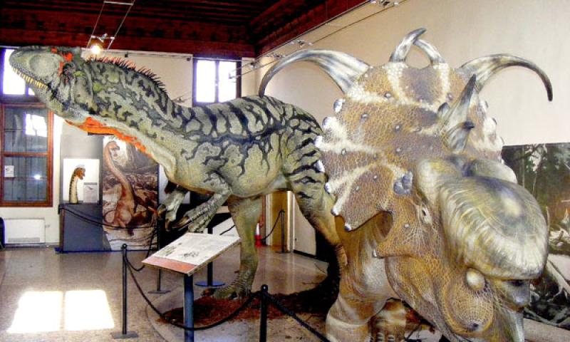 Bassanonet.it - Allosaurus e Pachyrhinosaurus