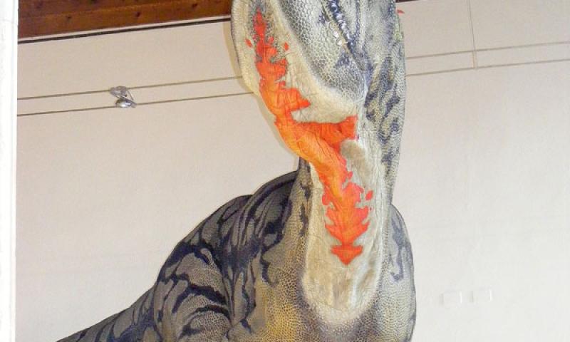 Bassanonet.it - Allosaurus