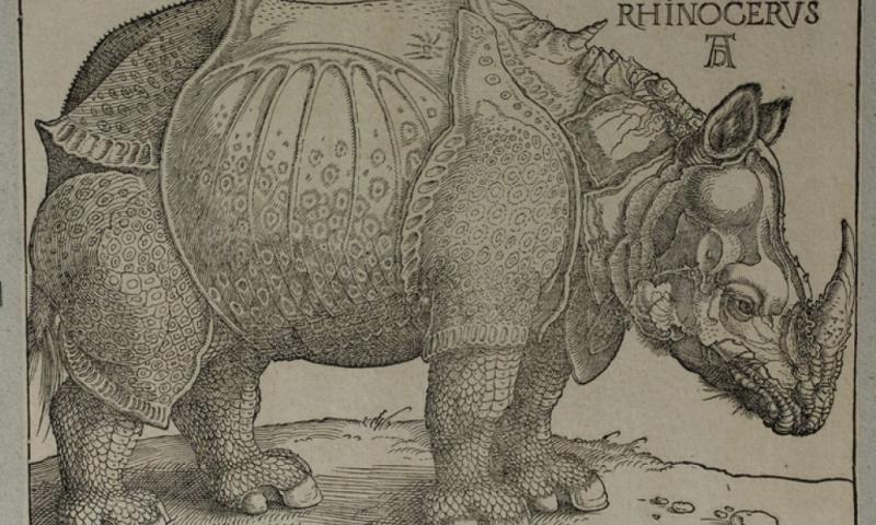 Bassanonet.it - Albrecht Dürer, Il rinoceronte, xilografia. Coll.rem.LII.1402.5661 Siglata in alto a destra e datata 1515 (© Musei Civici di Bassano del Grappa)