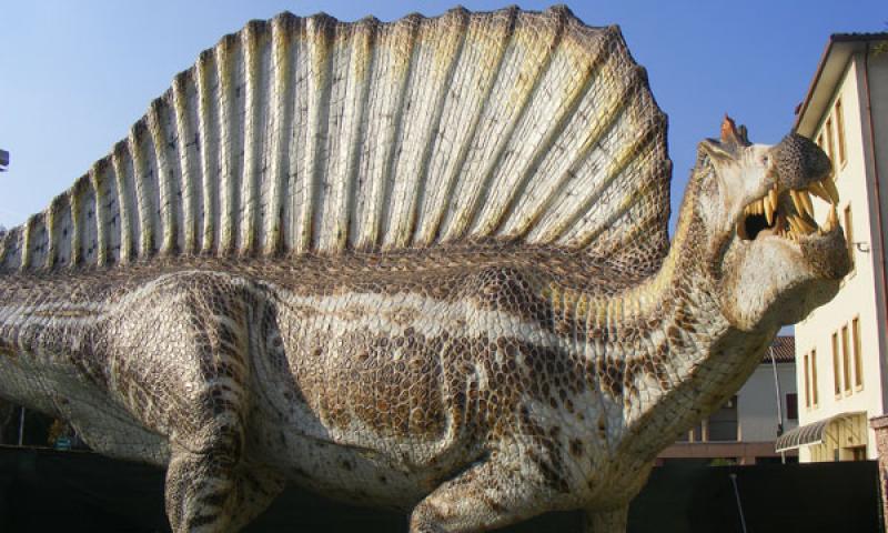 Bassanonet.it - Spinosaurus Aegyptiacus