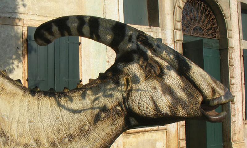 Bassanonet.it - Parasaurolophus walkeri