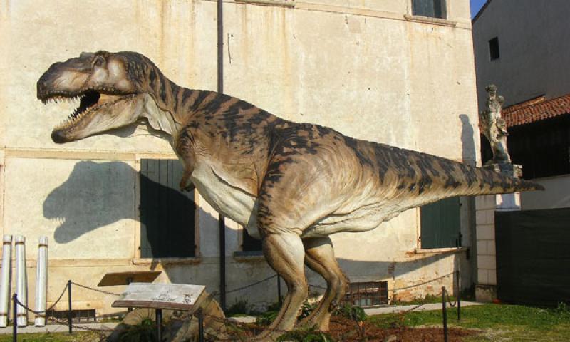 Bassanonet.it - Tyrannosaurus Rex