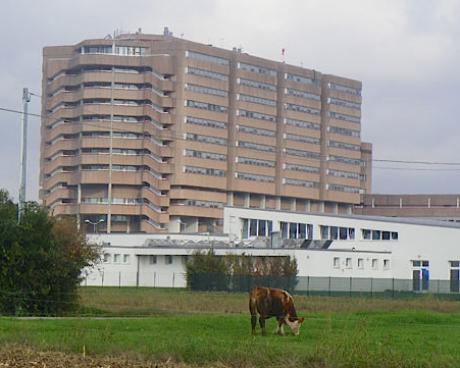 Bassanonet.it Sanità veneta, direttori generali “sotto esame”