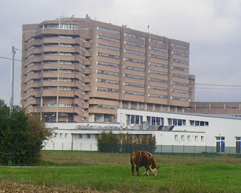 Bassanonet.it Sanità veneta, direttori generali “sotto esame”