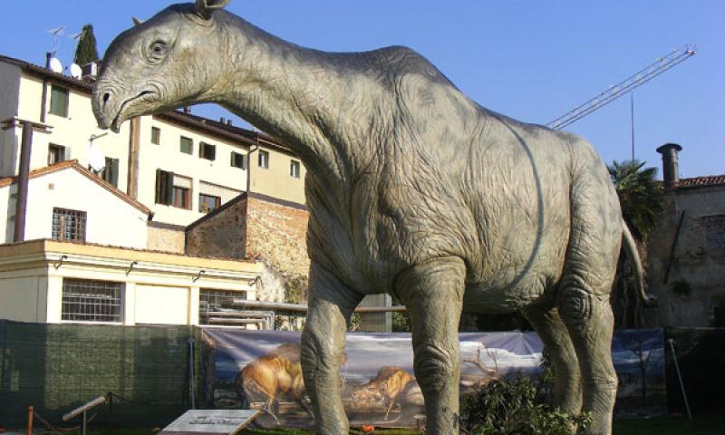 Bassanonet.it - Indricotherium