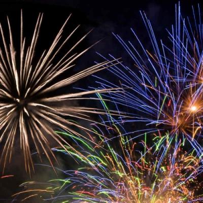 Bassanonet.it Botti di capodanno, la LAV chiede ai sindaci di vietarli