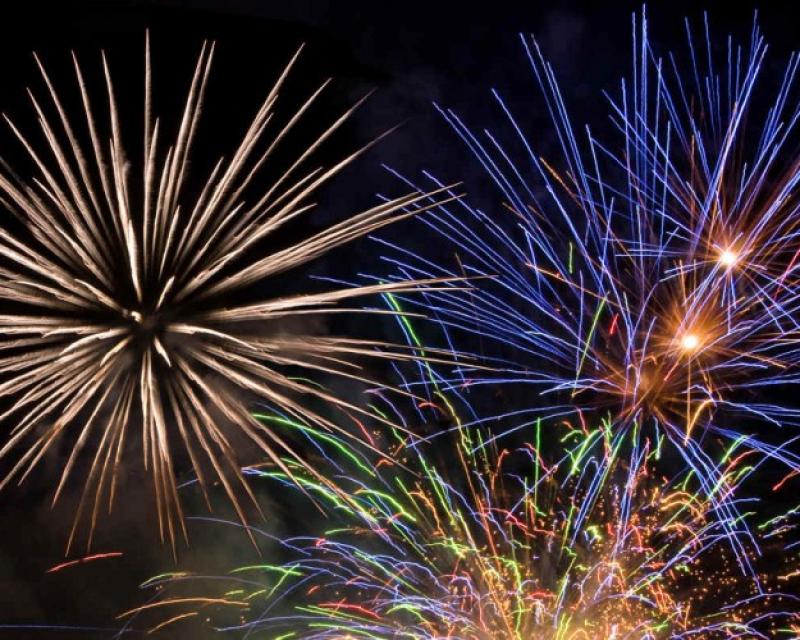 Bassanonet.it Botti di capodanno, la LAV chiede ai sindaci di vietarli