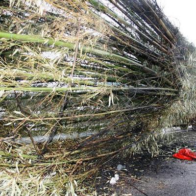 Bassanonet.it E la scopa da record brucia anzitempo