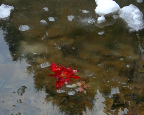 Bassanonet.it Gli Inverni di Mario