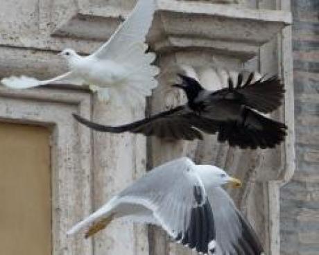 Bassanonet.it L'eresia bassanese